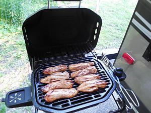 Click image for larger version

Name:	Bumper Mount Grill.jpg
Views:	811
Size:	63.3 KB
ID:	3422