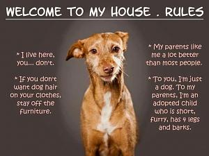 Click image for larger version

Name:	Bingos house rules.jpg
Views:	308
Size:	38.6 KB
ID:	3657
